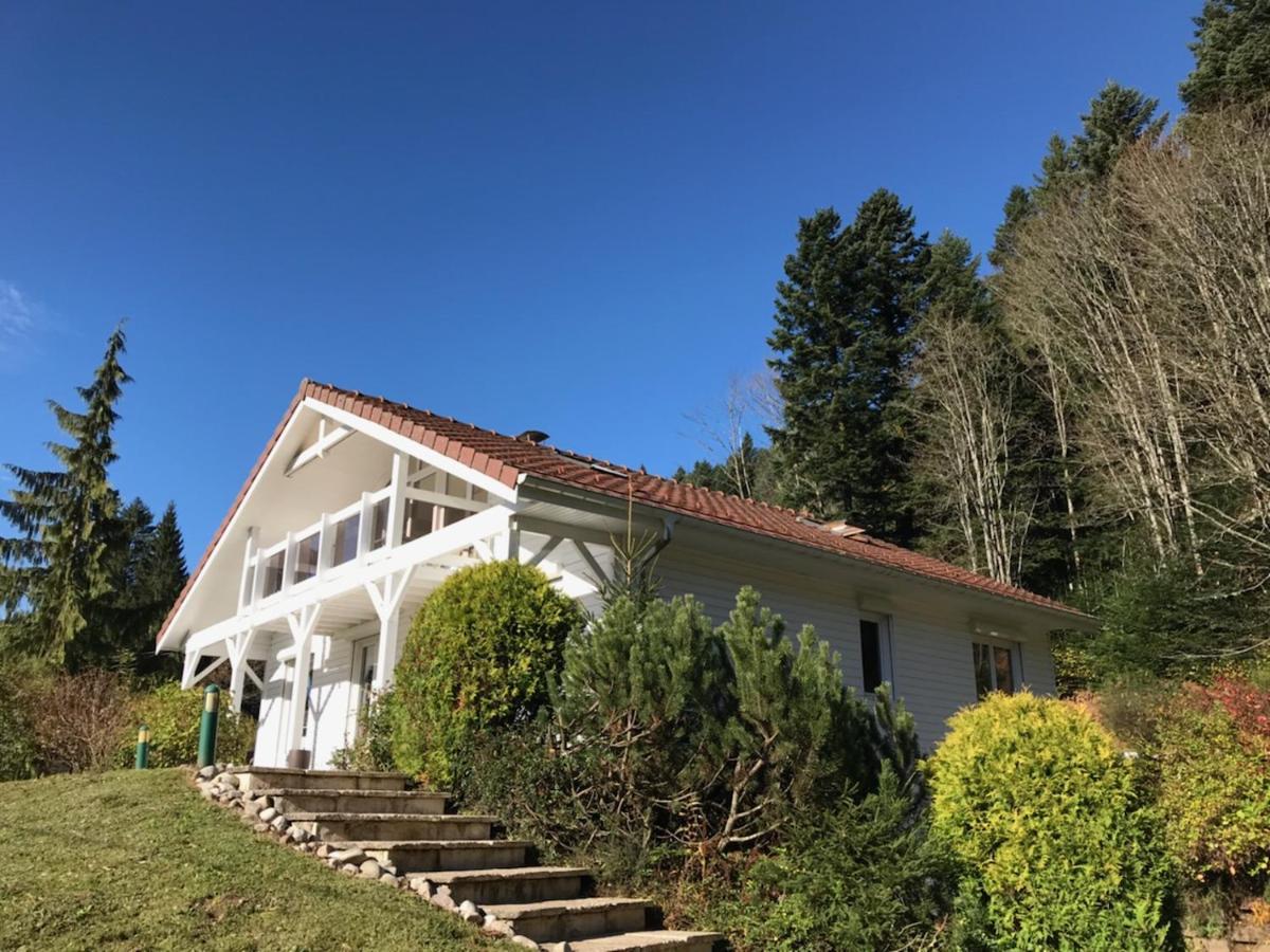 Le Chalet Blanc - Jacuzzi / Piscine / Sauna Gérardmer Dış mekan fotoğraf